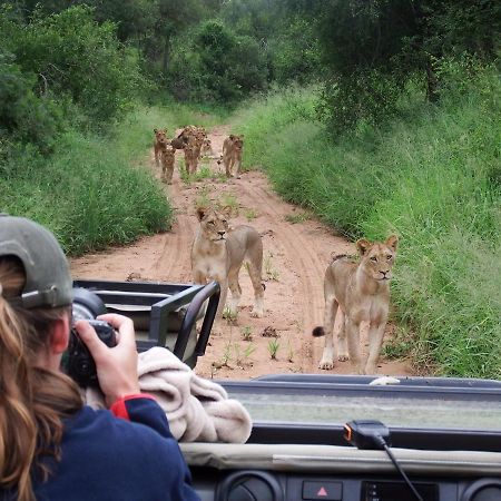 Hotel Ndzuti Bush Camp Balule Game Reserve Exterior foto