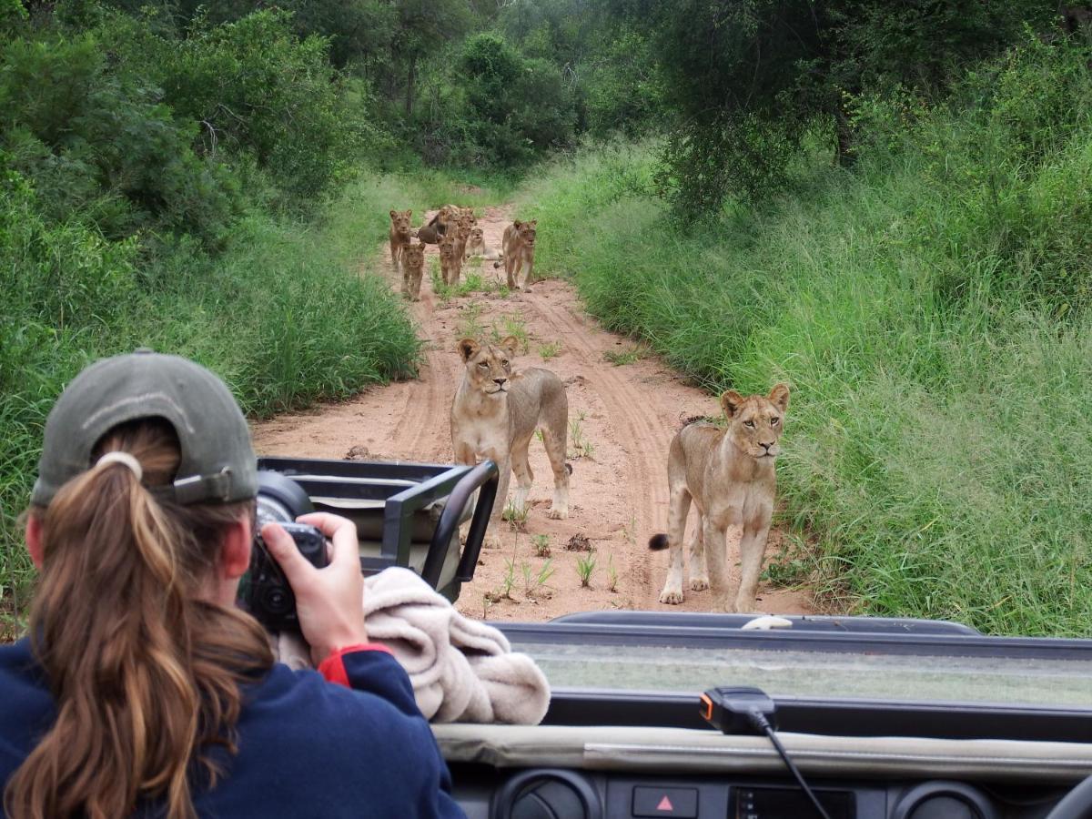Hotel Ndzuti Bush Camp Balule Game Reserve Exterior foto