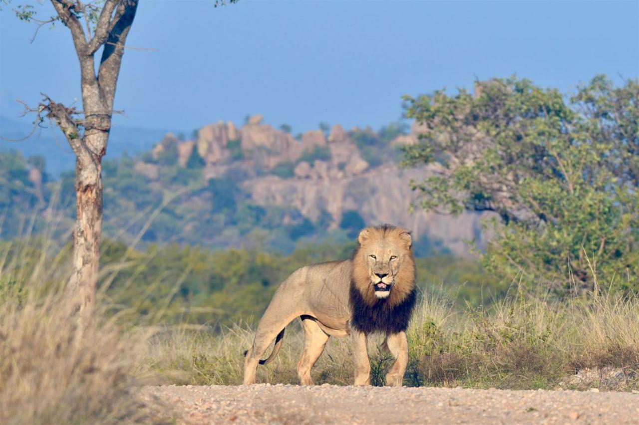 Hotel Ndzuti Bush Camp Balule Game Reserve Exterior foto
