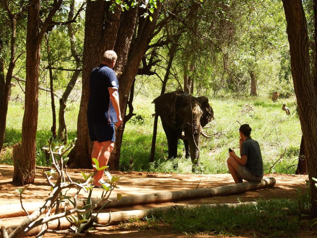 Hotel Ndzuti Bush Camp Balule Game Reserve Exterior foto