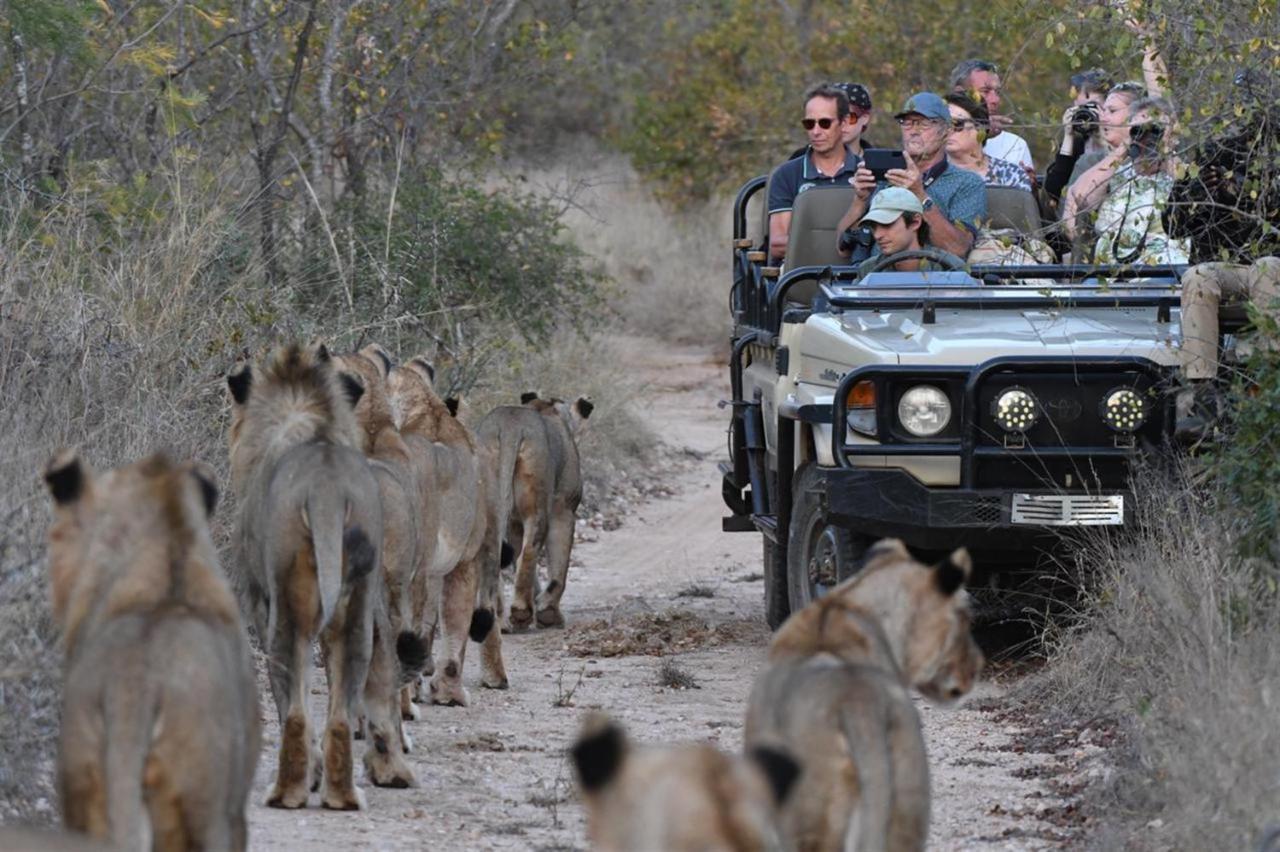 Hotel Ndzuti Bush Camp Balule Game Reserve Exterior foto