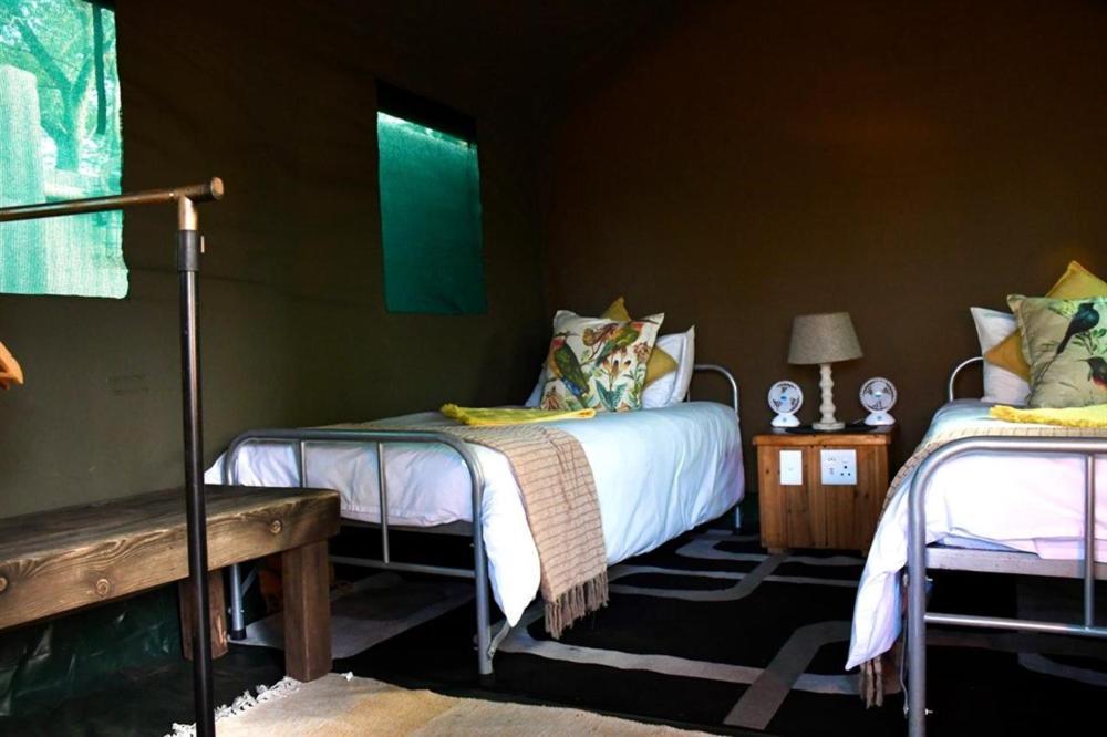 Hotel Ndzuti Bush Camp Balule Game Reserve Exterior foto