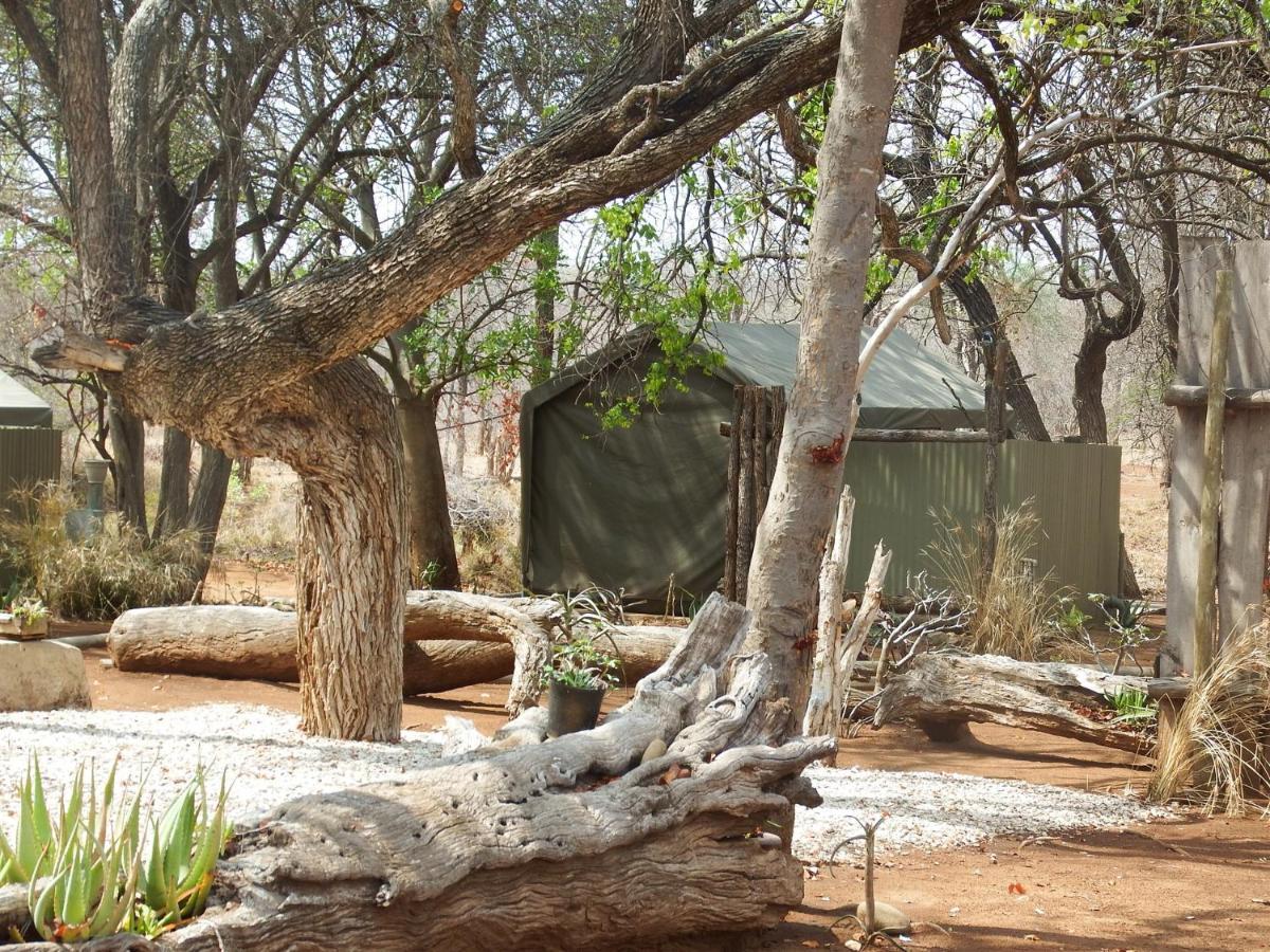Hotel Ndzuti Bush Camp Balule Game Reserve Exterior foto