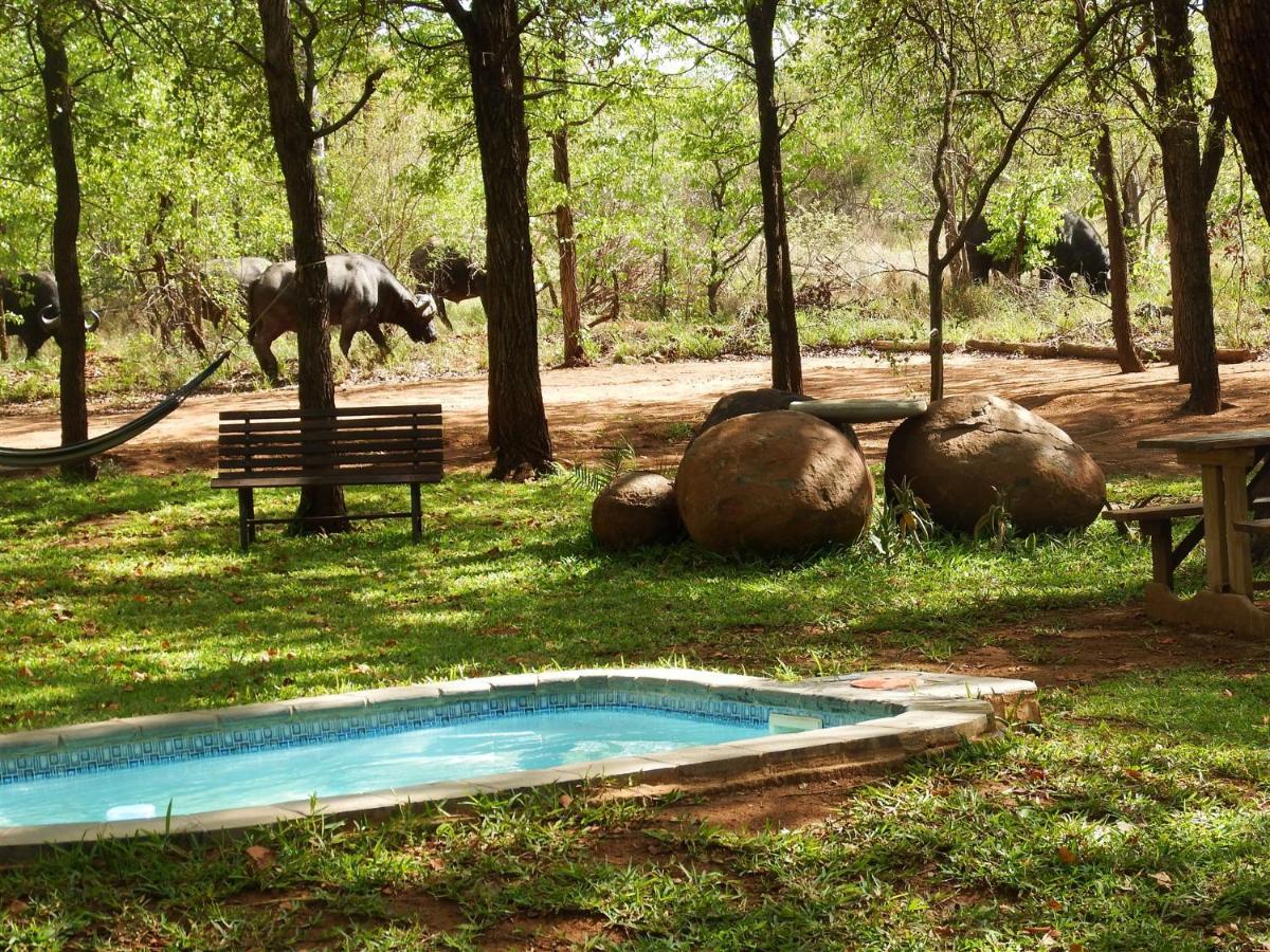 Hotel Ndzuti Bush Camp Balule Game Reserve Exterior foto