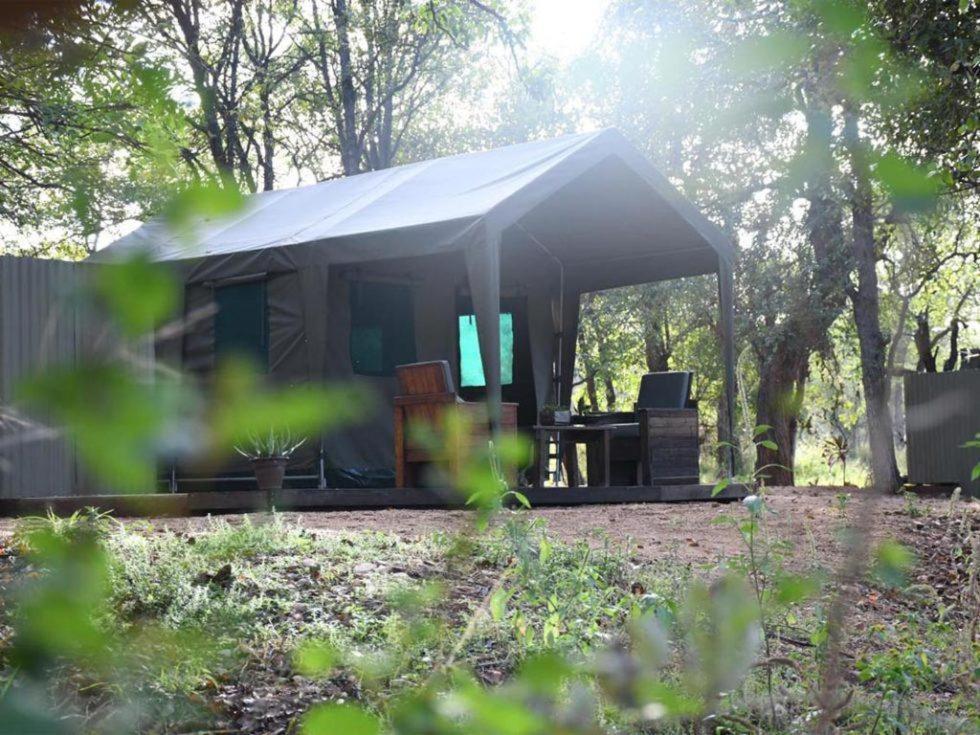 Hotel Ndzuti Bush Camp Balule Game Reserve Exterior foto