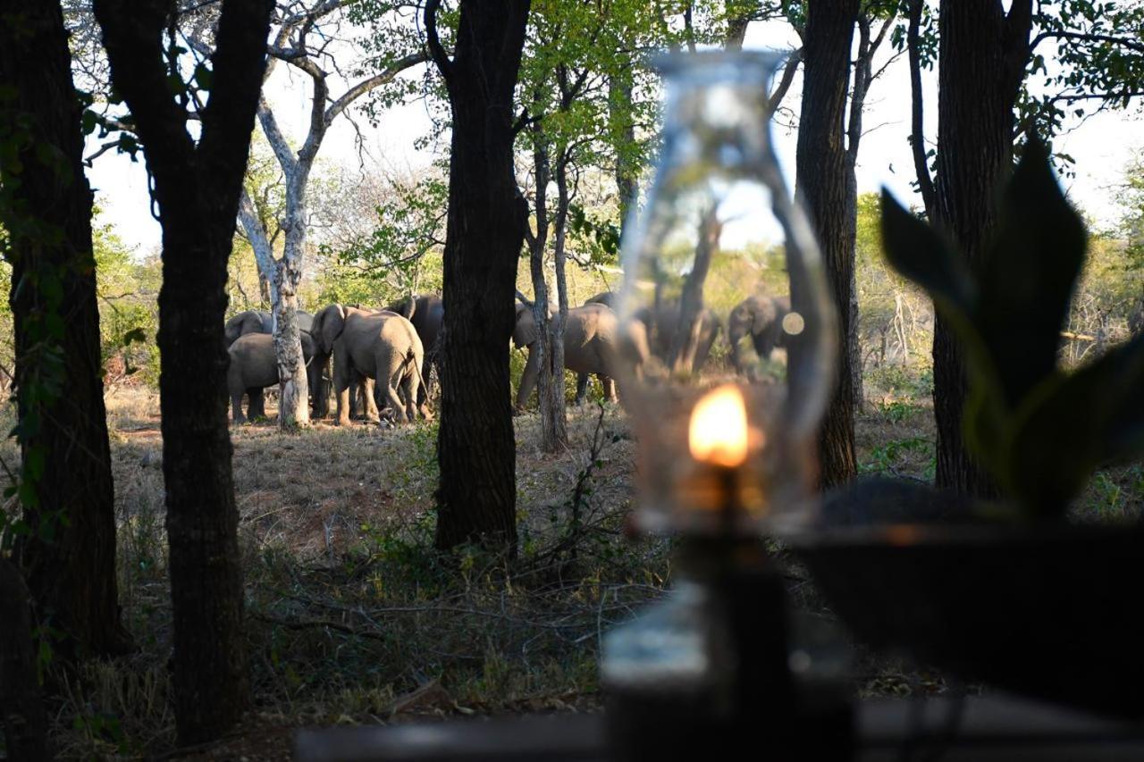 Hotel Ndzuti Bush Camp Balule Game Reserve Exterior foto