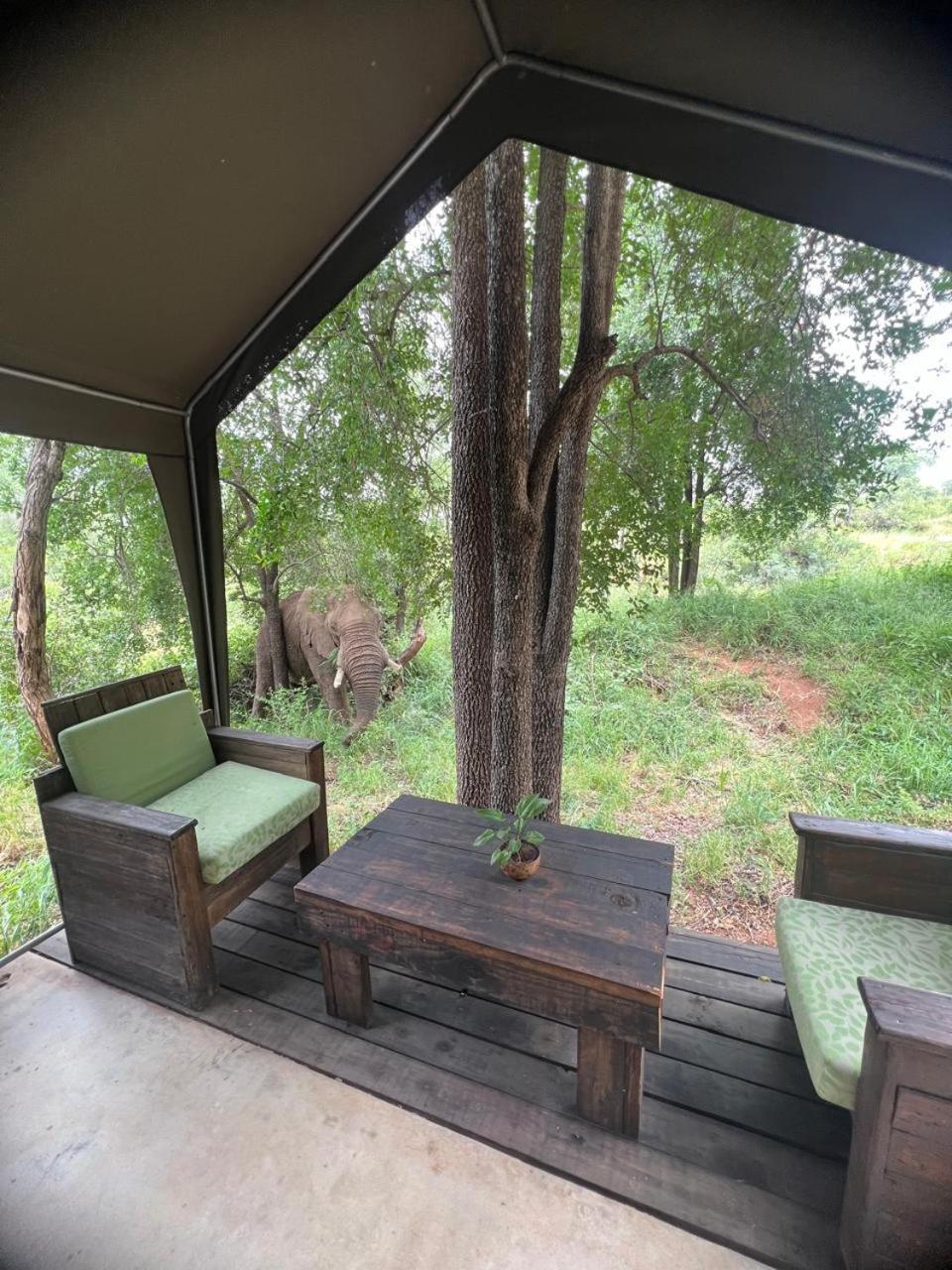 Hotel Ndzuti Bush Camp Balule Game Reserve Exterior foto